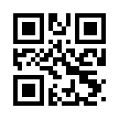 Bahisbudur 639 Giriş