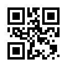 Balinabet 262 Giriş