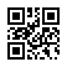 Betbigo 768