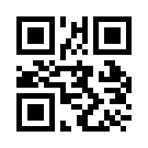 Betbigo 771