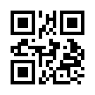 Betchip 210
