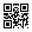 Betchip 221
