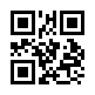 Betchip 228