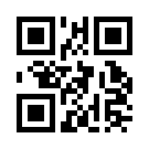 Betelli 299