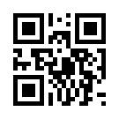 Betgray Giriş Güncel 2026