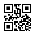 Betgross 503 Link