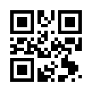 Betmoney 484