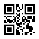 Betmoney 497