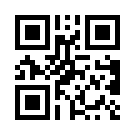 Betpay 440
