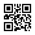 Betpay 441