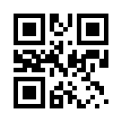 Betsnice 534 Link