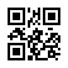 Bibubet 637 Link