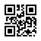 Darkbet 504 Link
