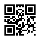 Darkbet 505 Link