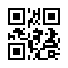 Dedebet 231 Link
