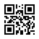 Hojabet 493 Link