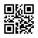 Loyalbahis 543