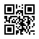 Megamibet 162 Giriş