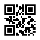 Napolibet 194 Giriş