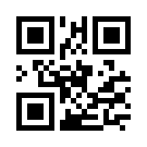 Onlybet 307