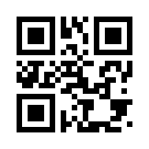 Padisahbetl 781 Giriş