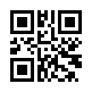 Padisahbetl 800 Giriş