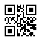 Padisahbetl 803 Giriş