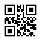 Padisahbetl 804 Giriş