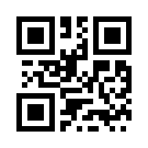 Playico 439
