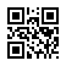Playico 446