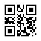 Portobahis 647 Giriş