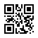 Portobahis 667 Giriş