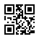 Tulipbet 847 Link