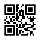 Tulipbet 869 Link