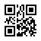 Yakutcasino 800 Link