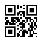 Yedibahis 351 Link